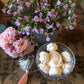 LES ROSES DE JOSEPHINE